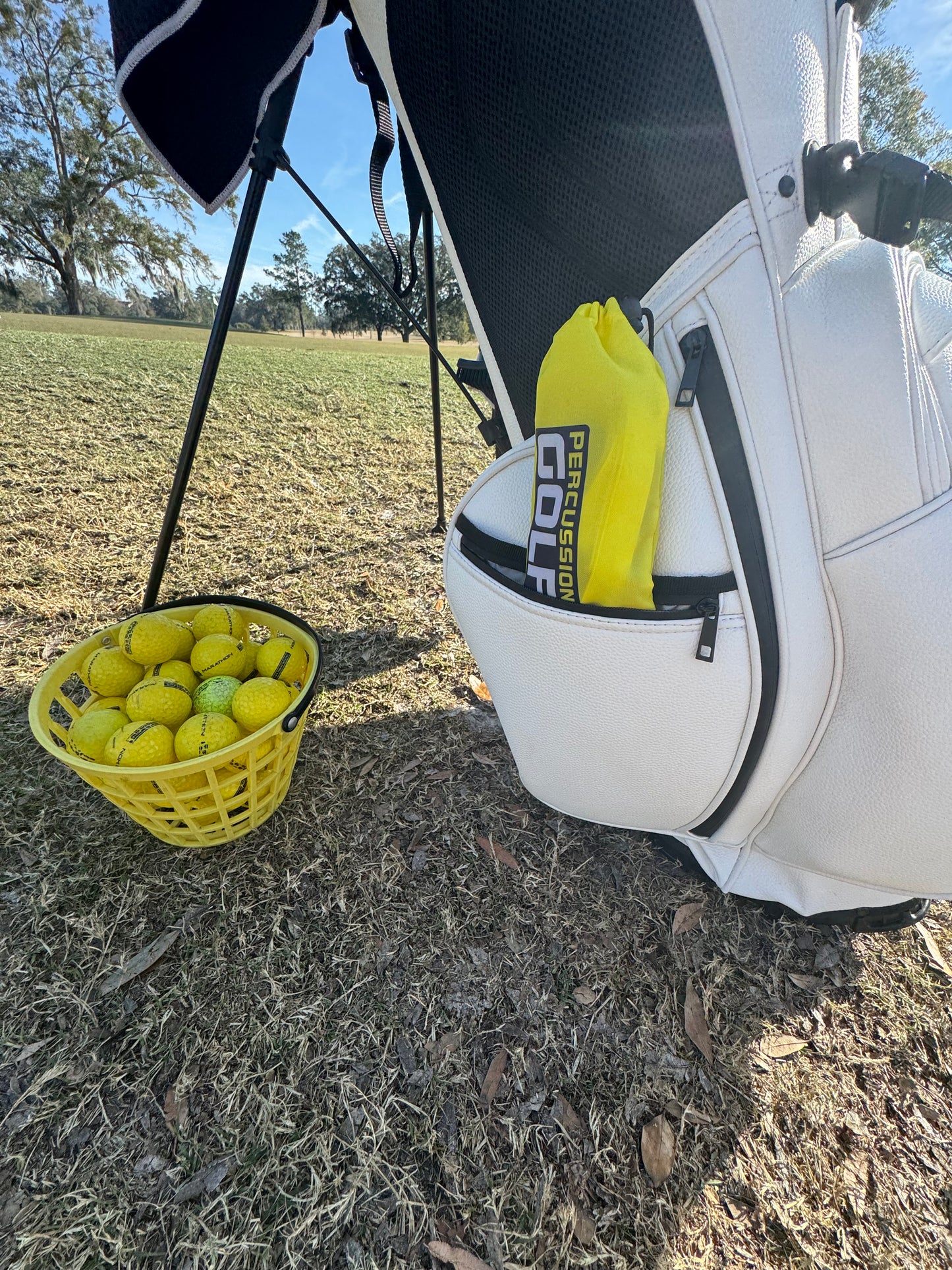 Swing Sling by Percussion Golf  The Golf Coach that's always in your bag!